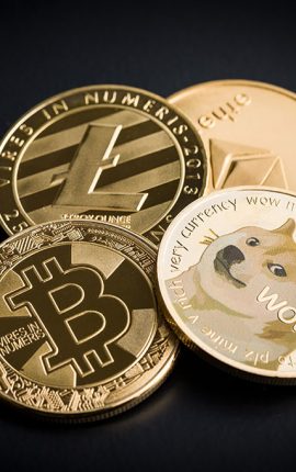 Dogecoin Gambling Guide